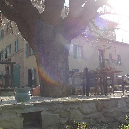 B&B Reillys Montecarotto ภายนอก รูปภาพ
