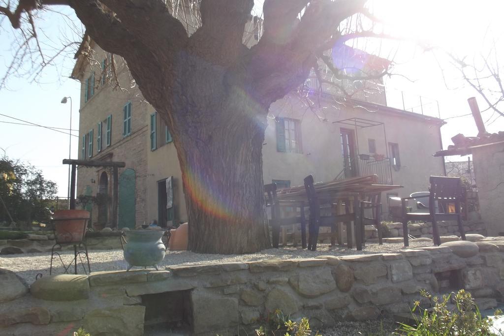 B&B Reillys Montecarotto ภายนอก รูปภาพ